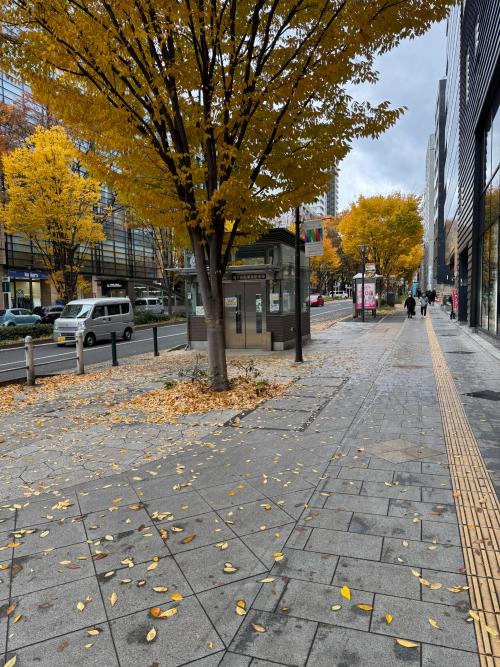 トレファクスタイル仙台青葉通一番町店ブログ画像4