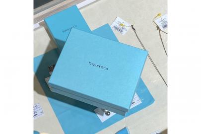 「ラグジュアリーブランドのTiffany & Co 」