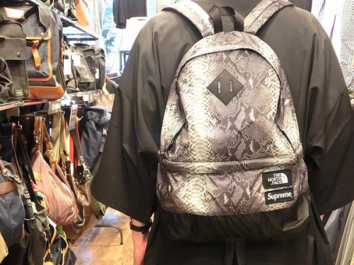 ノースフェイスのナイキ