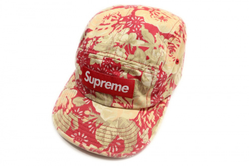 シュプリームのノースフェイス