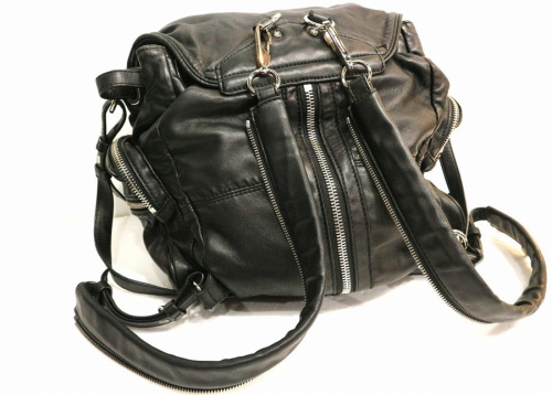 アレキサンダーワンのバッグ