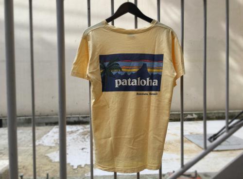 パタゴニアのTシャツ