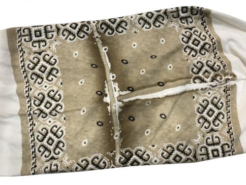 バンダナHUGE-TのＴシャツ