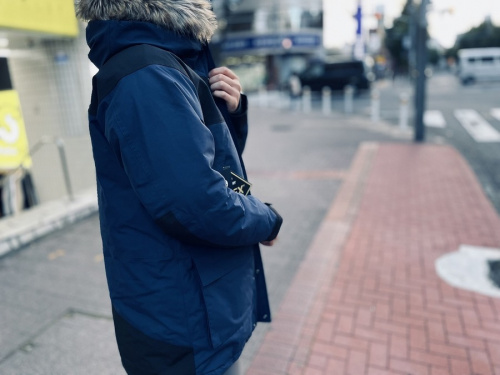 ザノースフェイスのMountain Down Coat