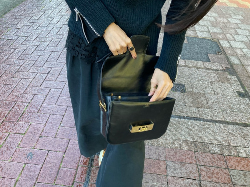 セリーヌの馬車金具/ヴィンテージワンショルダーバッグ