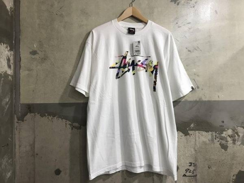 ノースフェイスのstussy