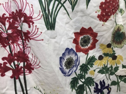 19年04月04日：画像８