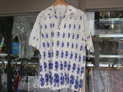 anatomicaのアナトミカ