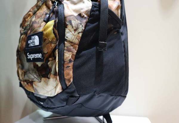 supreme the north face 16FW 枯れ葉　リュック