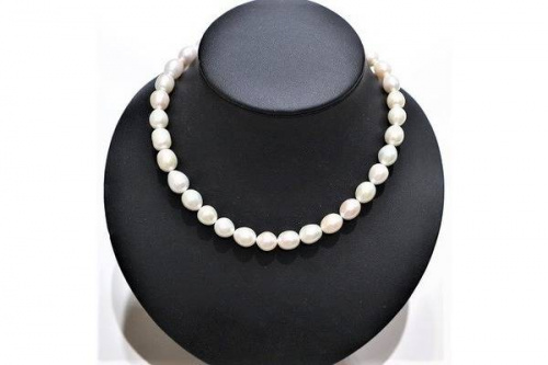 店舗からのお知らせのスタージュエリー