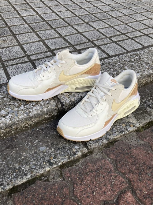 トレファクスタイル亀有店ブログ画像１