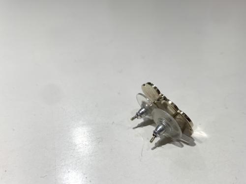 ピアスのレディース