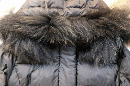 17年10月16日：画像６