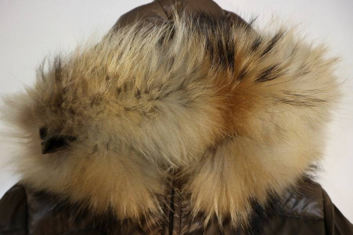 17年10月23日：画像８