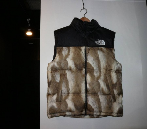 THE NORTH FACEのコラボ