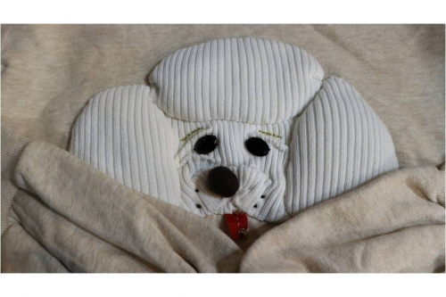 18年03月11日：画像７