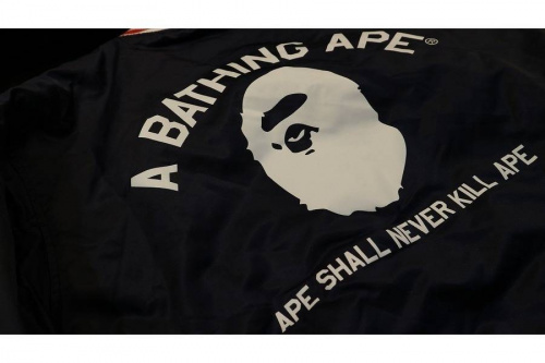 18年03月12日：画像１０