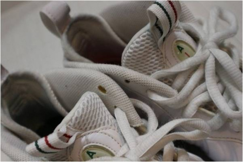 18年05月04日：画像６