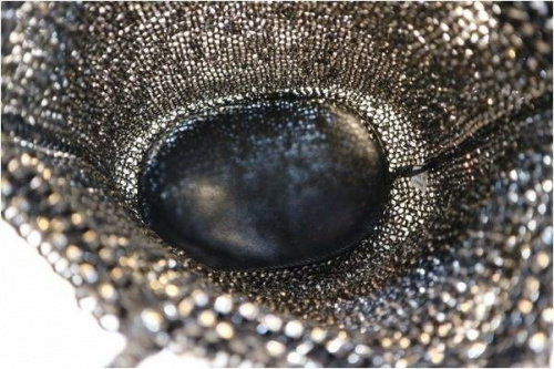 新小岩のアンテプリマ