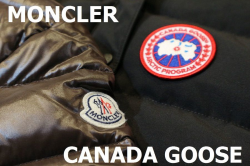 買取入荷のラグジュアリーブランド