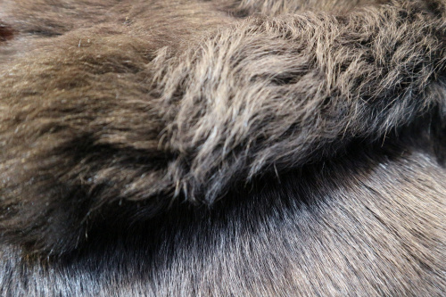 MARNIのムートン