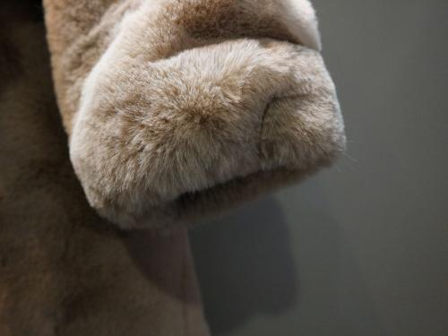 APPARISのアパリス