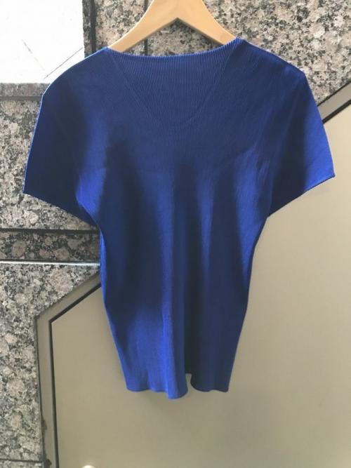 プリーツプリーズのブラウス