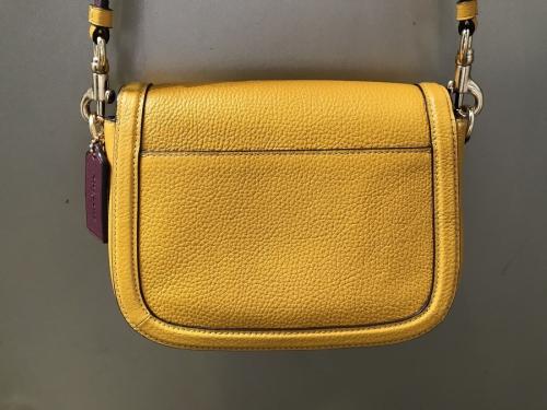 コーチのｻﾄﾞﾙ ﾊﾞｯｸﾞ ｳｨｽﾞ ﾎｰｽ & ｷｬﾘｯｼﾞ