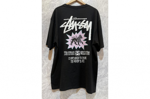 ステューシーのBIG Print T-shirts