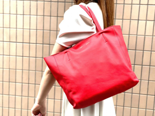 セリーヌのホリゾンタルカバ