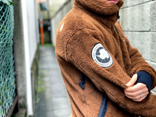 ザノースフェイスのAntarctica Versa Loft Jacket