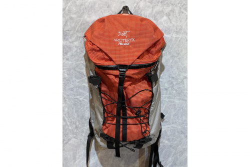 PALACE×ARC'TERYXのパレス　アークテリクス