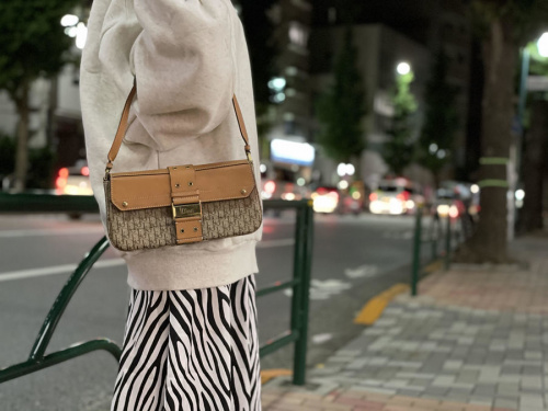 クリスチャン ディオールのロゴプレートトロッターハンドバッグ