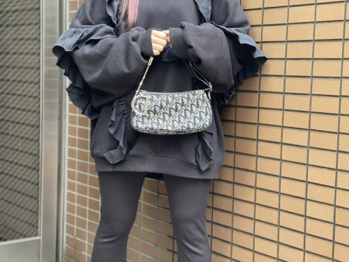 クリスチャン ディオールのトロッターハンドバッグ