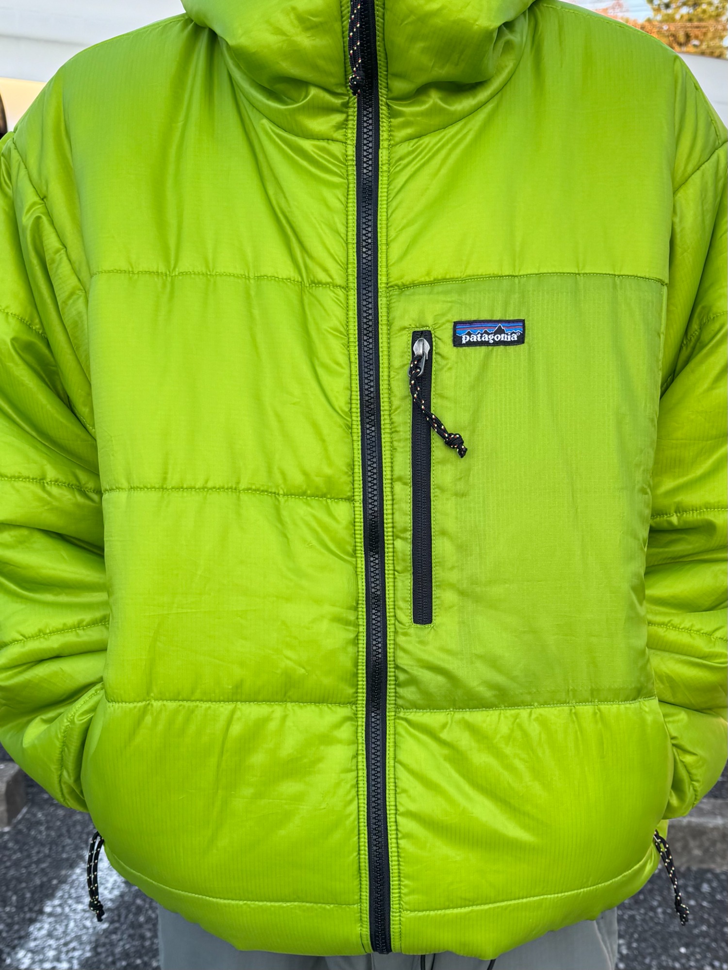 patagonia ダスパーカ　02年 Patagonia】02年製 DAS PARKAを使用したスタイリングのご紹介[2025.11