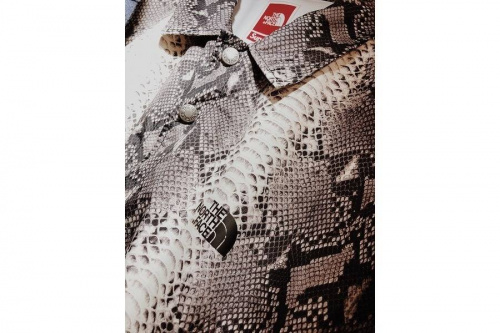 店舗からのお知らせの千葉