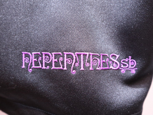 19年01月30日：画像６