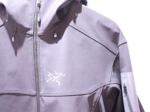 アークテリクスのEpsilon LT Hoody