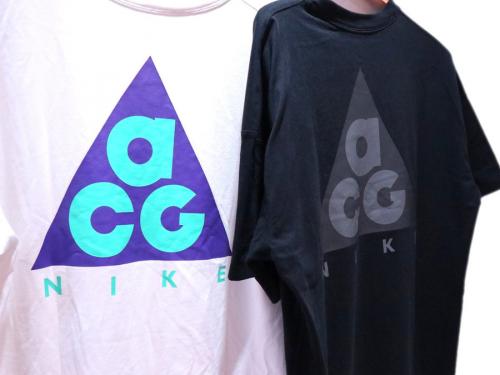 NIKE ACGのナイキエーシージー