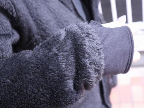 ザノースフェイスのAntarctica Versa Loft Jacket