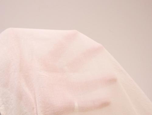 シアーシャツのピンクパンツ