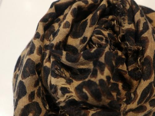 エトール・レオパードのレデイース