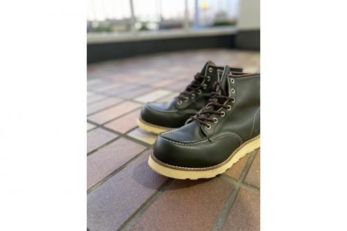 レッドウィングのアイリッシュセッター