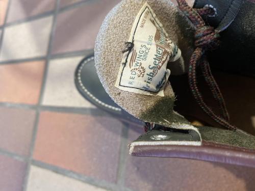 アイリッシュセッターの1999年限定モデル