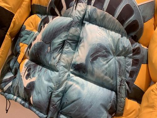 ザノースフェイス×シュプリームのスタチュープリントバルトロジャケット