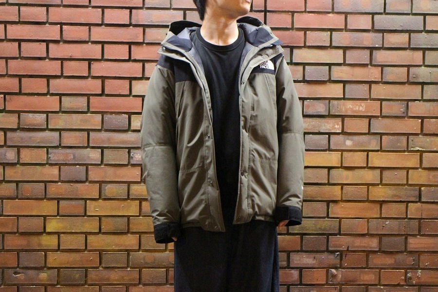 THE NORTH FACE/ザノースフェイス】(Mountain Down Jacket/ND91930 