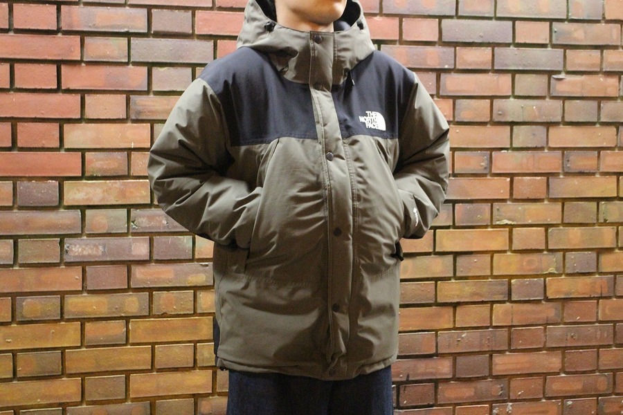 THE NORTH FACE/ザノースフェイス】(Mountain Down Jacket/ND91930