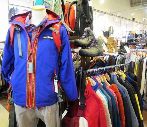 ワイルドシングスの夏フェス