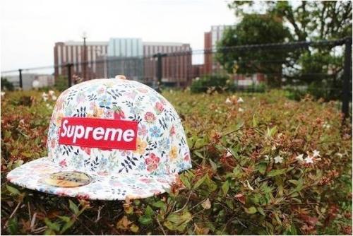 トレファクスタイル多摩センター店ブログ画像１