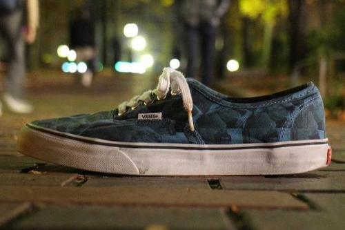 16年11月18日：画像１０